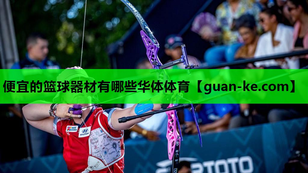 便宜的篮球器材有哪些华体体育