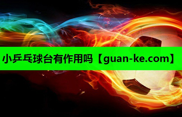 小乒乓球台有作用吗