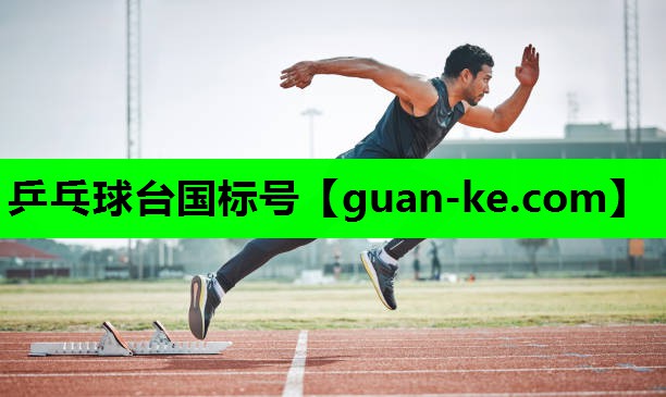 乒乓球台国标号