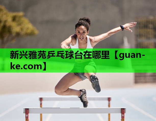 新兴雅苑乒乓球台在哪里